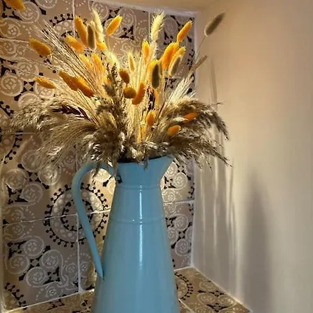Domus Alba 10 * Ostuni